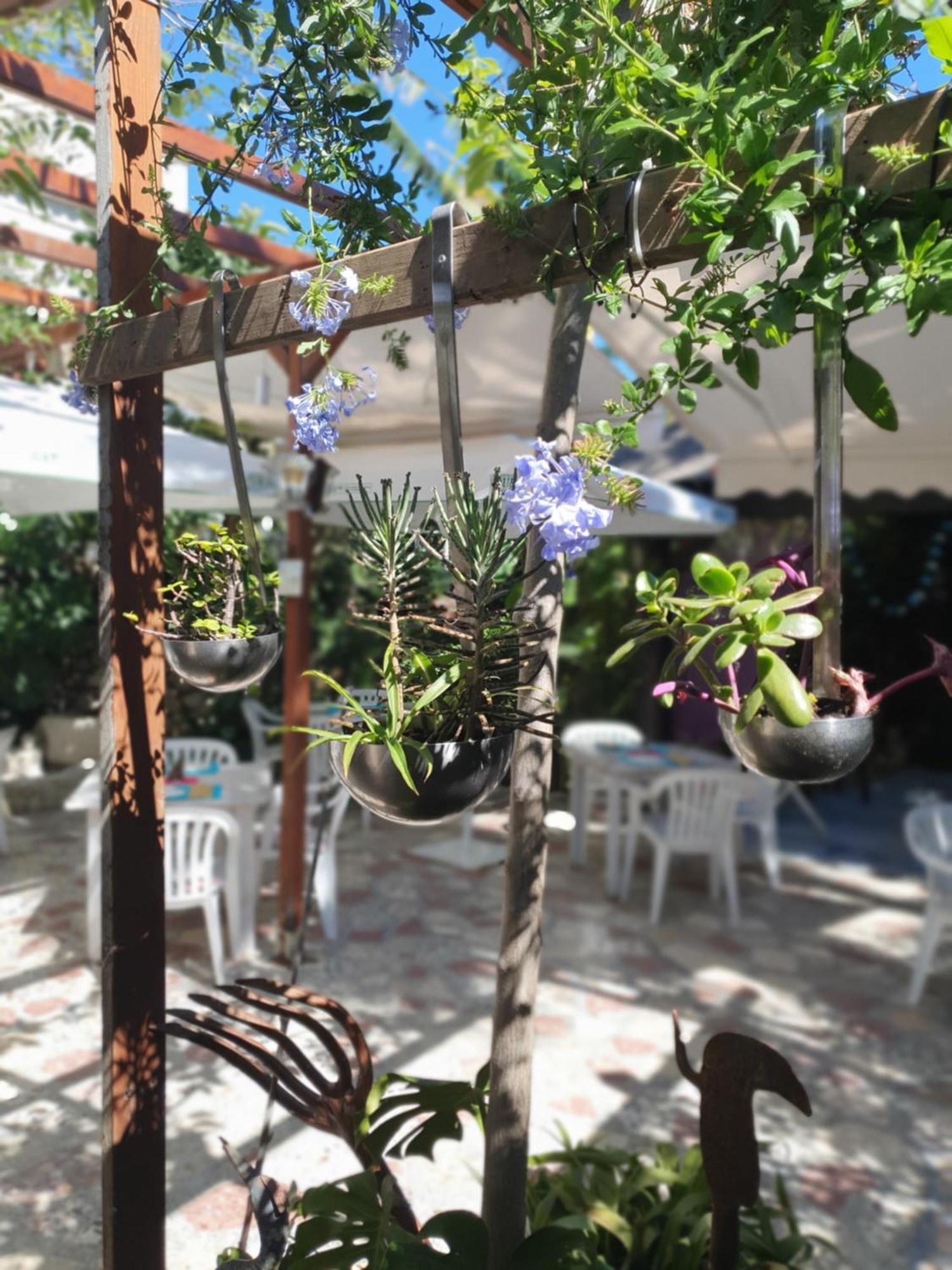 Pensjonat Mi Campana Denia
